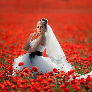 Фотография #205838, , автор: Николай Хорьков