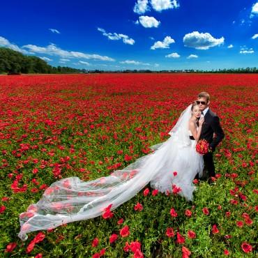 Фотография #205851, , автор: Николай Хорьков