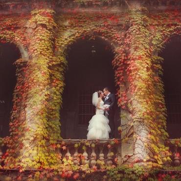Фотография #169775, свадебная фотосъемка, автор: Илина Пономарева