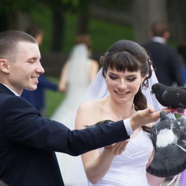 Фотография #183712, свадебная фотосъемка, автор: Евгения Смирнова