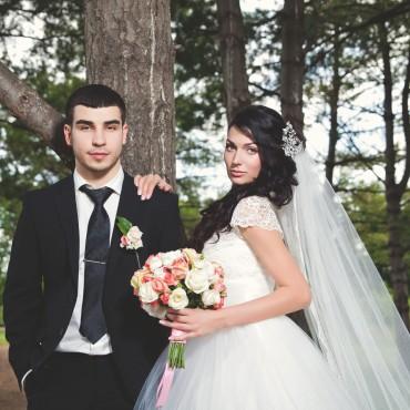 Фотография #172289, свадебная фотосъемка, автор: Елена Колунтаева