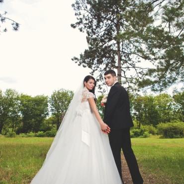 Фотография #172308, свадебная фотосъемка, автор: Елена Колунтаева