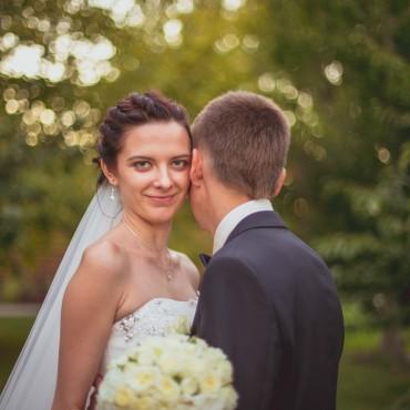 Фотография #173960, свадебная фотосъемка, автор: Полина Зайцева