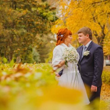 Фотография #173971, свадебная фотосъемка, автор: Полина Зайцева