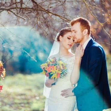 Фотография #172647, свадебная фотосъемка, автор: Алена Гульченко