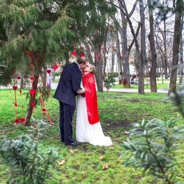 Фотография #172581, свадебная фотосъемка, автор: Ирина Рябых