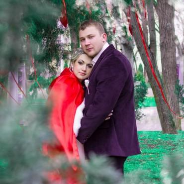 Фотография #172580, свадебная фотосъемка, автор: Ирина Рябых
