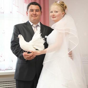 Фотография #177000, свадебная фотосъемка, автор: Станислав Халанский
