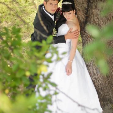 Фотография #177011, свадебная фотосъемка, автор: Станислав Халанский
