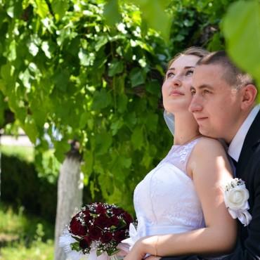 Фотография #179175, свадебная фотосъемка, автор: Руслан Аминов