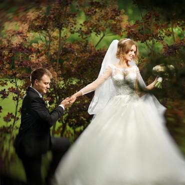 Фотография #188315, свадебная фотосъемка, автор: Максим Матвеев