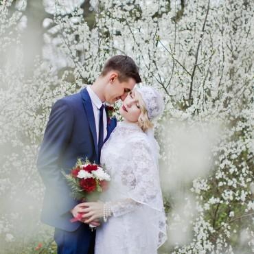 Фотография #180452, свадебная фотосъемка, автор: Ольга Гайдукова
