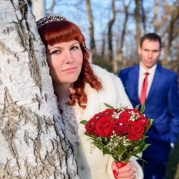 Фотография #185426, свадебная фотосъемка, автор: Юлия Бакидко