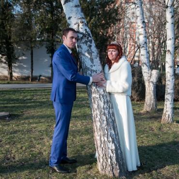 Фотография #185427, свадебная фотосъемка, автор: Юлия Бакидко