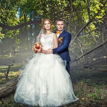Фотография #181435, свадебная фотосъемка, автор: Алена Денисенко
