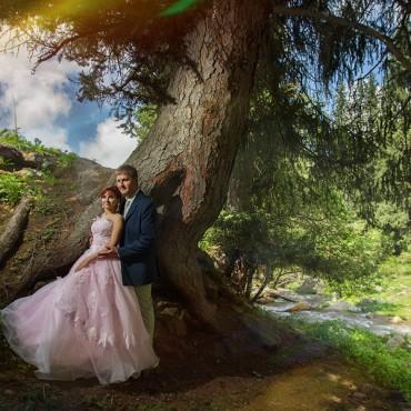 Фотография #183311, свадебная фотосъемка, автор: Наталья Осинская