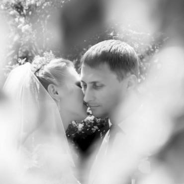Фотография #194789, свадебная фотосъемка, автор: Евгений Лосев