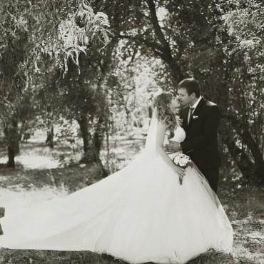 Фотография #184458, свадебная фотосъемка, автор: Анастасия Ким