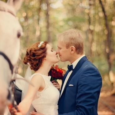 Фотография #185169, свадебная фотосъемка, автор: Ника Волкова