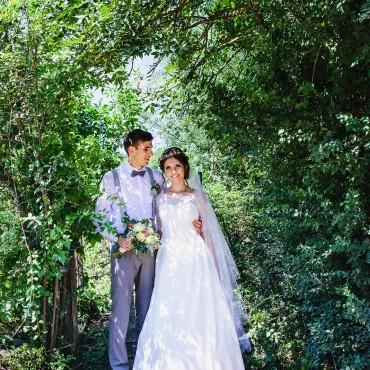 Фотография #189307, свадебная фотосъемка, автор: Ирина Долотова