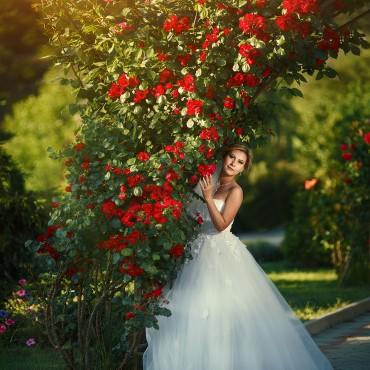 d7e27664b18696e1ad86cc324f30a387.jpg