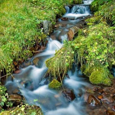 Фотография #197555, , автор: Форт Верный 