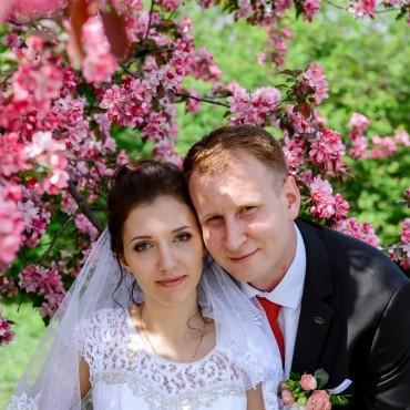 Фотография #199433, свадебная фотосъемка, автор: Алла Ермошкина