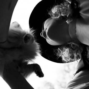 Фотография #201105, портретная съемка, автор: Юлия Петлякова