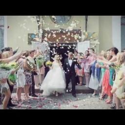 Видео #299246, автор: Сергей Лукьянов