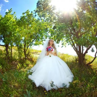 Фотография #310875, свадебная фотосъемка, автор: Анастасия Занозина