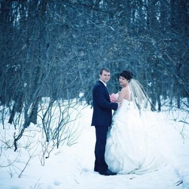 Фотография #305101, свадебная фотосъемка, автор: Светлана Комлева