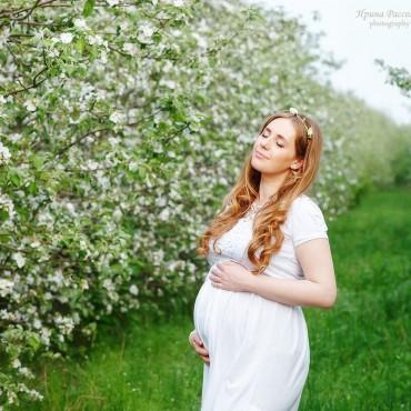 Фотография #303547, фотосъемка беременных, автор: Ирина Рассолова