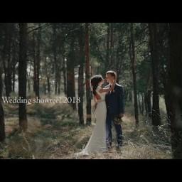 Видео #299531, автор: Алексей Потемкин