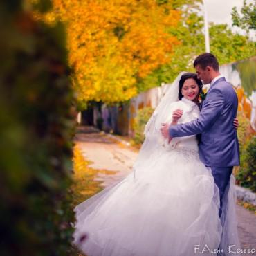 Фотография #307121, свадебная фотосъемка, автор: Алена Колесова