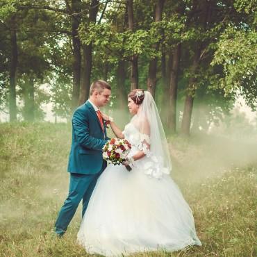 Фотография #315161, свадебная фотосъемка, автор: Алексей Лифанов