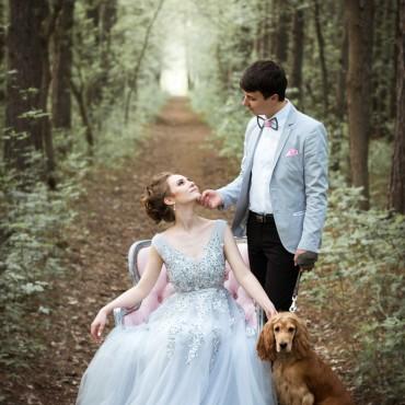 Фотография #317115, свадебная фотосъемка, автор: Светлана Башкатова