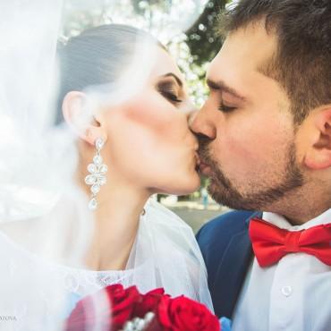 Фотография #317124, свадебная фотосъемка, автор: Светлана Башкатова