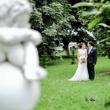 Фотография #324125, свадебная фотосъемка, автор: Геннадий Маркелов