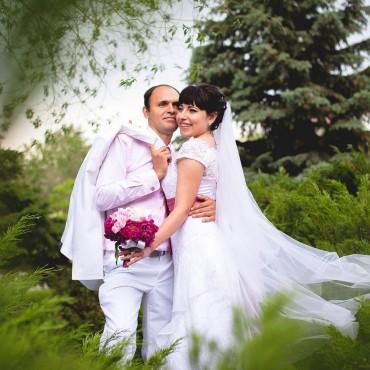 Фотография #314160, свадебная фотосъемка, автор: Андрей Абраменко