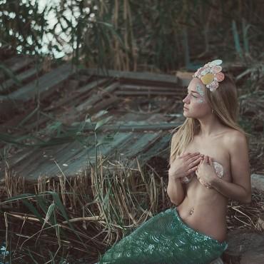 Фотография #326729, , автор: Ольга Бурмистрова