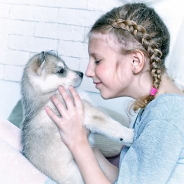 Фотография #319470, , автор: Art Set 