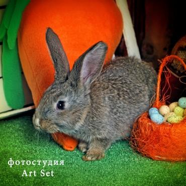 Фотография #319468, , автор: Art Set 