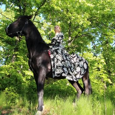 Фотография #322014, выездная фотосъемка, автор: Алексей Пермяков