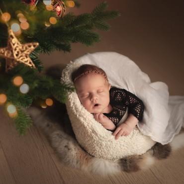 Фотография #327306, , автор: Екатерина Филатова