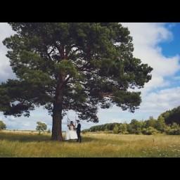 Видео #549592, автор: Александр Тихонов