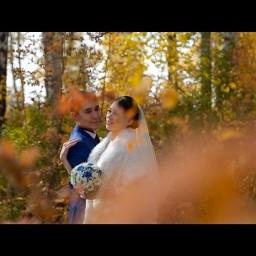 Видео #549556, автор: Евгений Мишуров