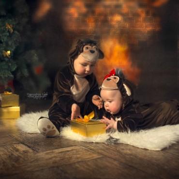 Фотография #551647, автор: Анна Николайчук Фотография #551647, автор: Анна Николайчук