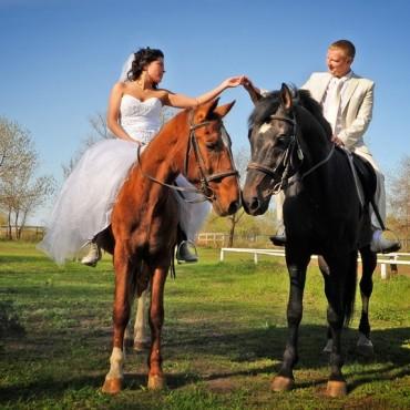 Фотография #542683, , автор: Александр Жуковский 