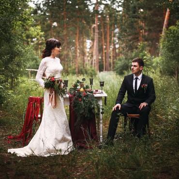 Фотография #544394, свадебная фотосъемка, автор: Светланка Теленева