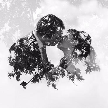 Фотография #547391, автор: Светлана Домненко Фотография #547391, автор: Светлана Домненко